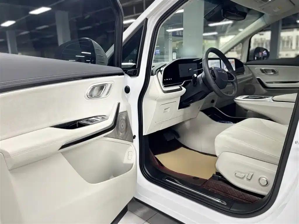 Everyone 9 2024 Facelift Super Hybrid Long Range Forest Edition 7-Seat — миниатюра 15