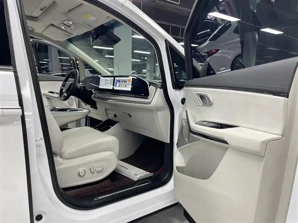 Everyone 9 2024 Facelift Super Hybrid Long Range Forest Edition 7-Seat — миниатюра 18