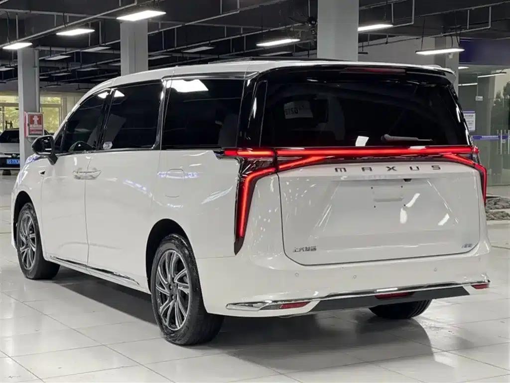 Everyone 9 2024 Facelift Super Hybrid Long Range Forest Edition 7-Seat — миниатюра 7
