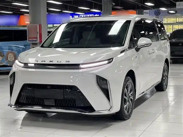 Everyone 9 2024 Facelift Super Hybrid Long Range Forest Edition 7-Seat