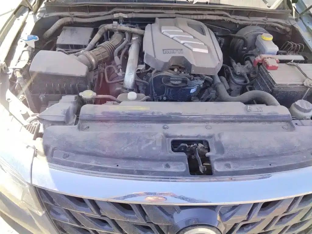 Rich 7 2022 2.3T Automatic Four-Wheel Drive Diesel Standard Long Cargo Box M9T — миниатюра 11