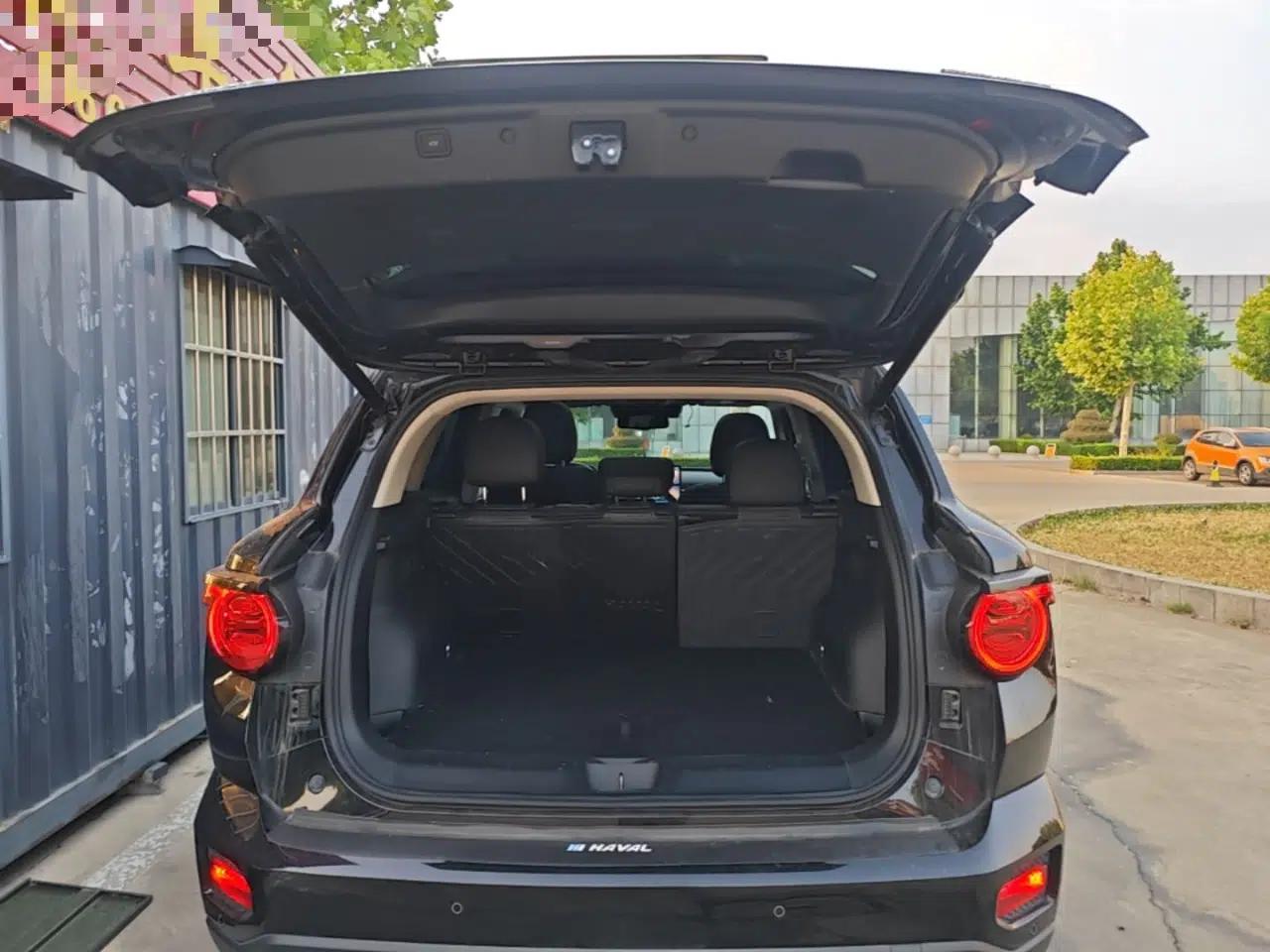 Haval H Dog 2023 2.0T Two-Wheel Drive Chaoye Version Plus — миниатюра 22