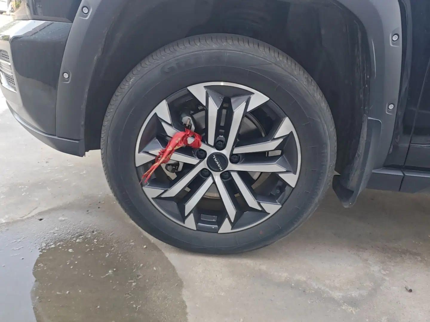 Haval H Dog 2023 2.0T Two-Wheel Drive Chaoye Version Plus — миниатюра 8