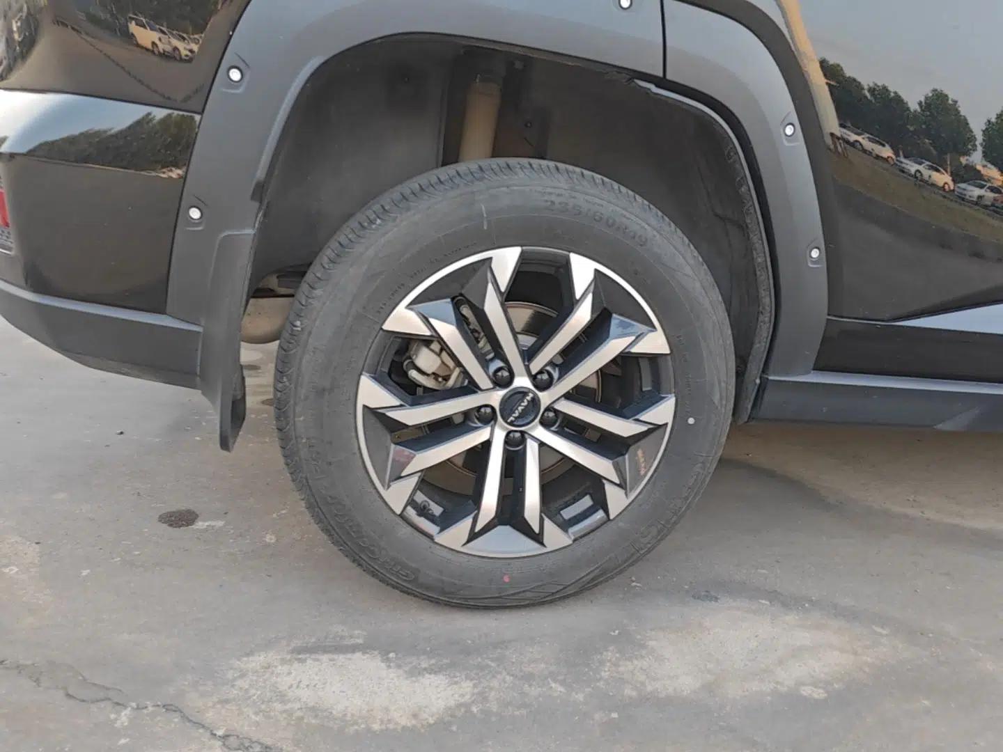 Haval H Dog 2023 2.0T Two-Wheel Drive Chaoye Version Plus — миниатюра 10