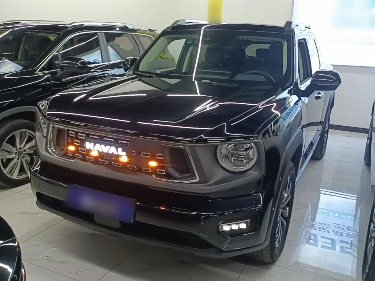 Haval H Dog 2023 2.0T Two-Wheel Drive Chaoye Version Plus — миниатюра 1