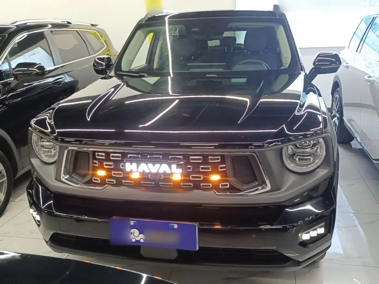 Haval H Dog 2023 2.0T Two-Wheel Drive Chaoye Version Plus — миниатюра 2