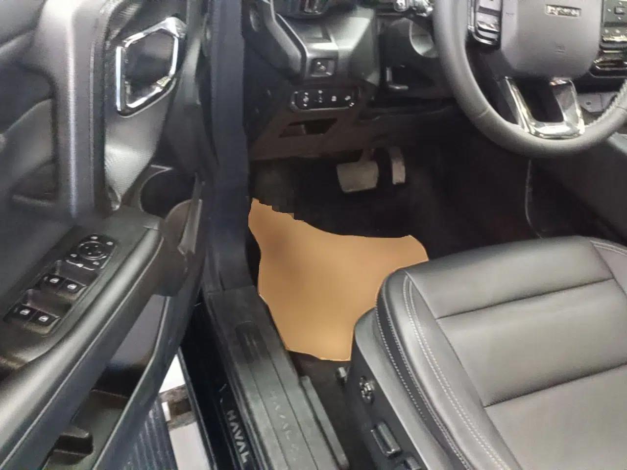 Haval H Dog 2023 2.0T Two-Wheel Drive Chaoye Version Plus — миниатюра 19