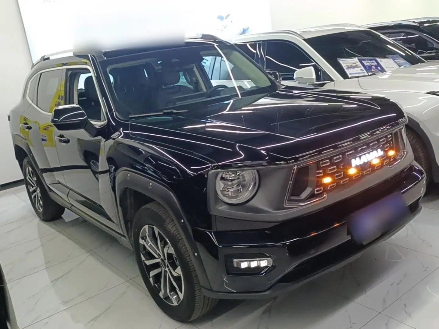 Haval H Dog 2023 2.0T Two-Wheel Drive Chaoye Version Plus — миниатюра 3