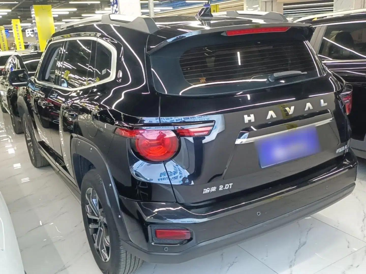 Haval H Dog 2023 2.0T Two-Wheel Drive Chaoye Version Plus — миниатюра 4