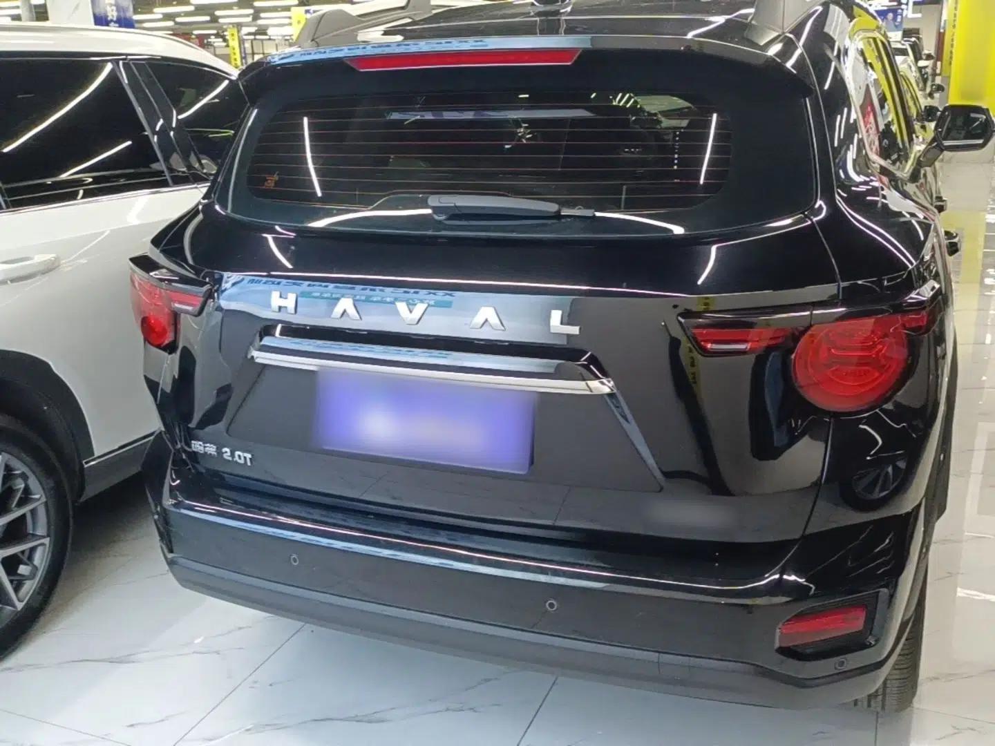 Haval H Dog 2023 2.0T Two-Wheel Drive Chaoye Version Plus — миниатюра 5