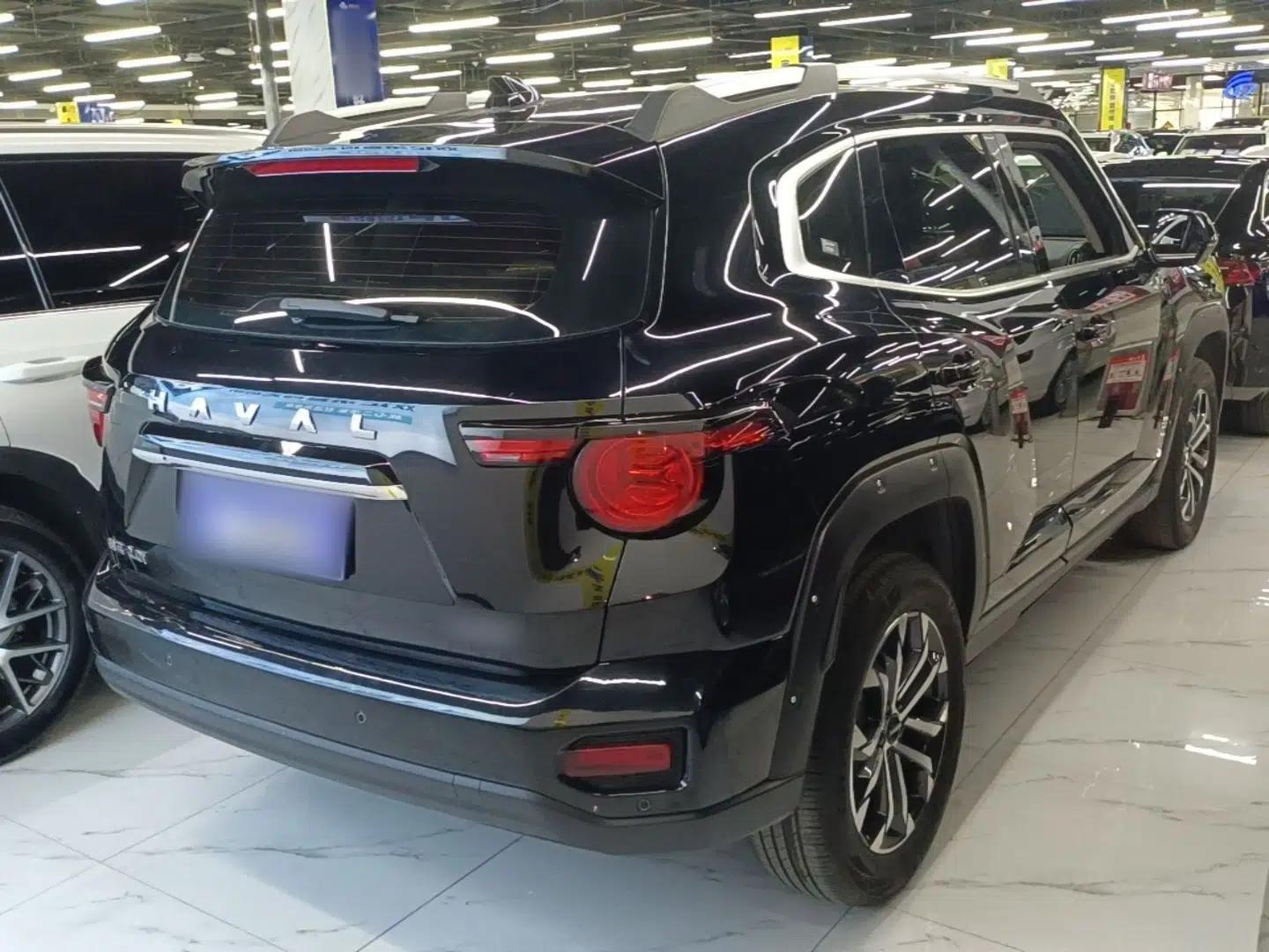 Haval H Dog 2023 2.0T Two-Wheel Drive Chaoye Version Plus — миниатюра 6