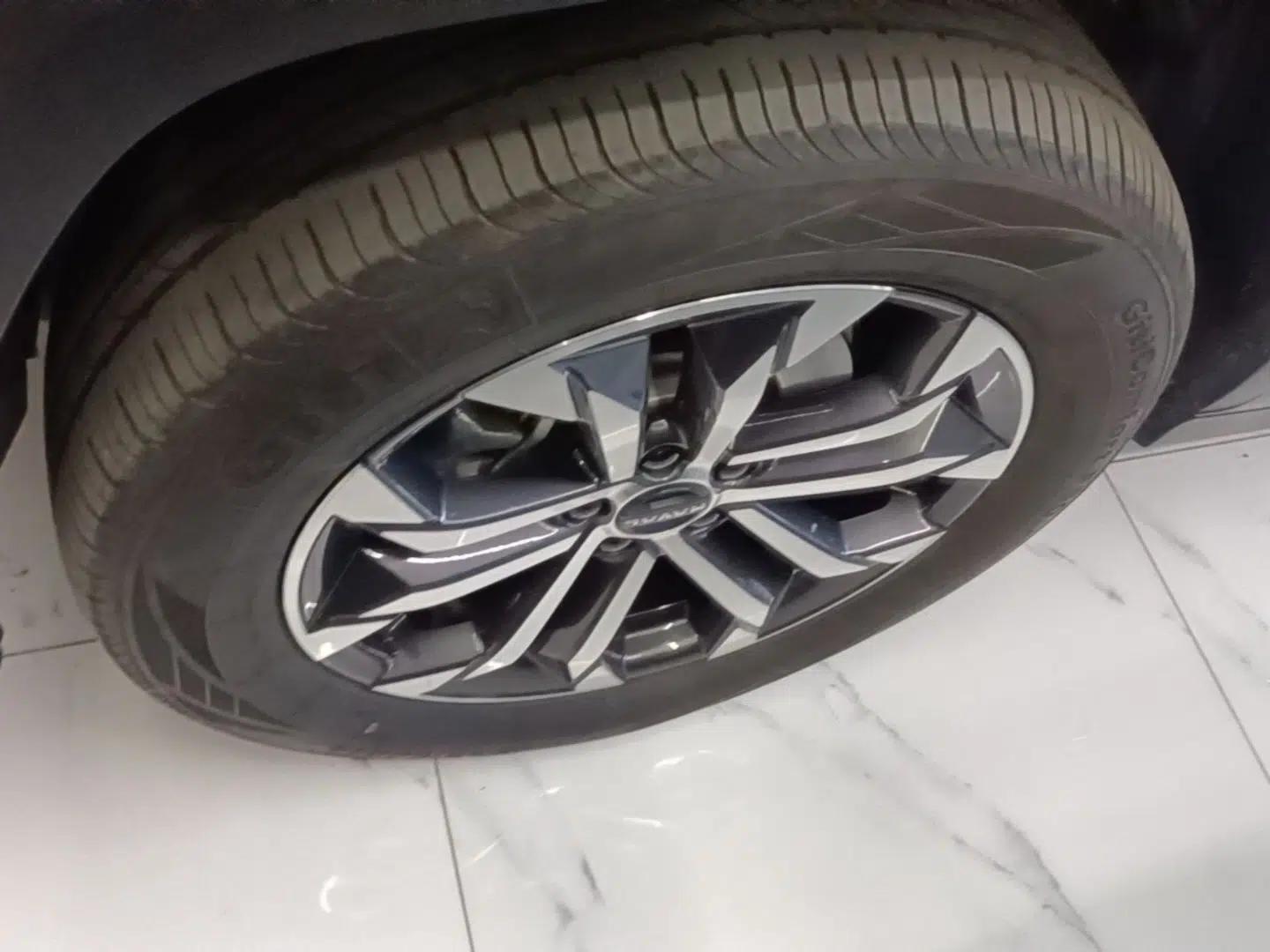 Haval H Dog 2023 2.0T Two-Wheel Drive Chaoye Version Plus — миниатюра 8