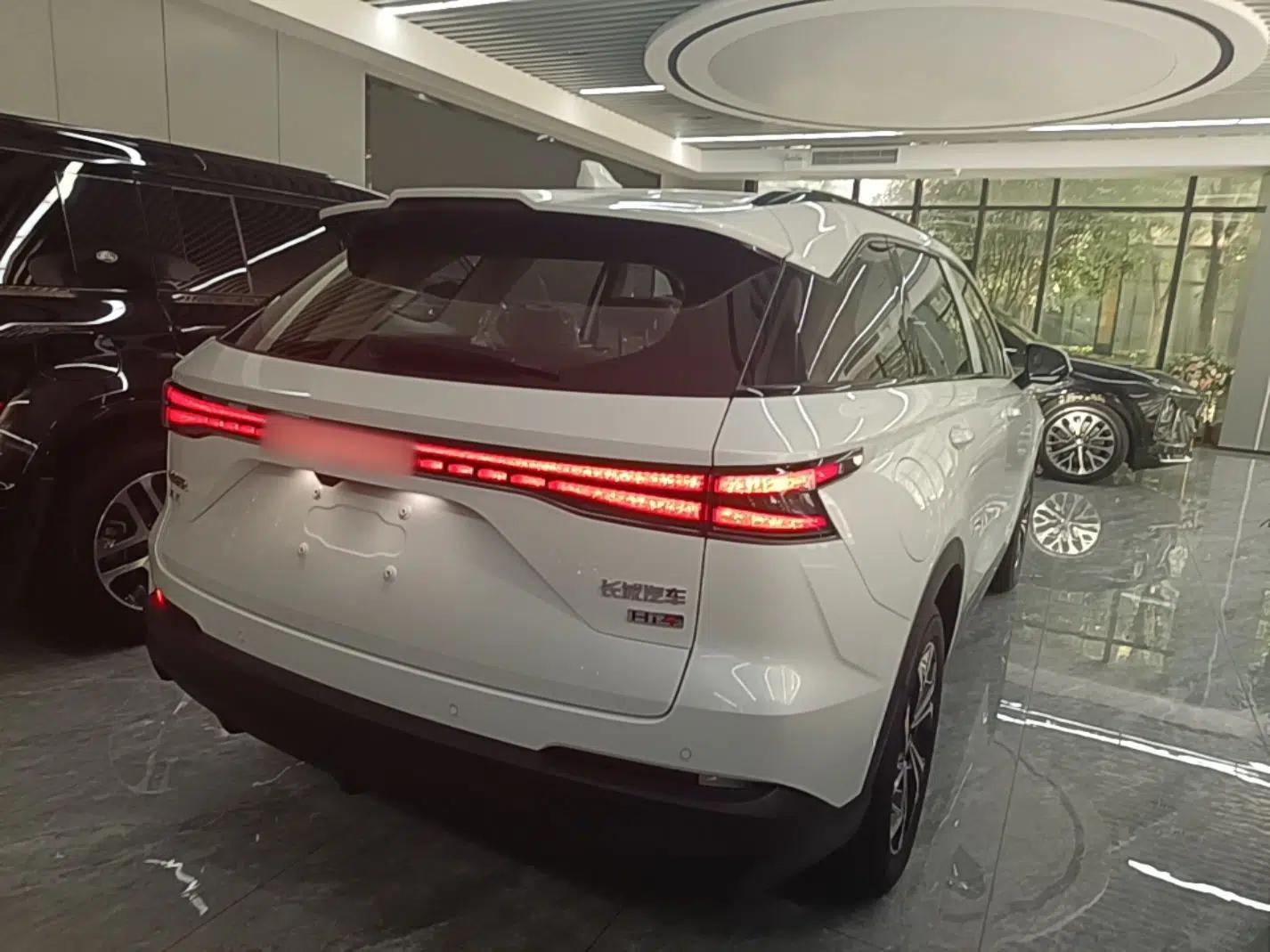 Haval Fierce Dragon Max 2025 Hi4 110 Pro — миниатюра 6
