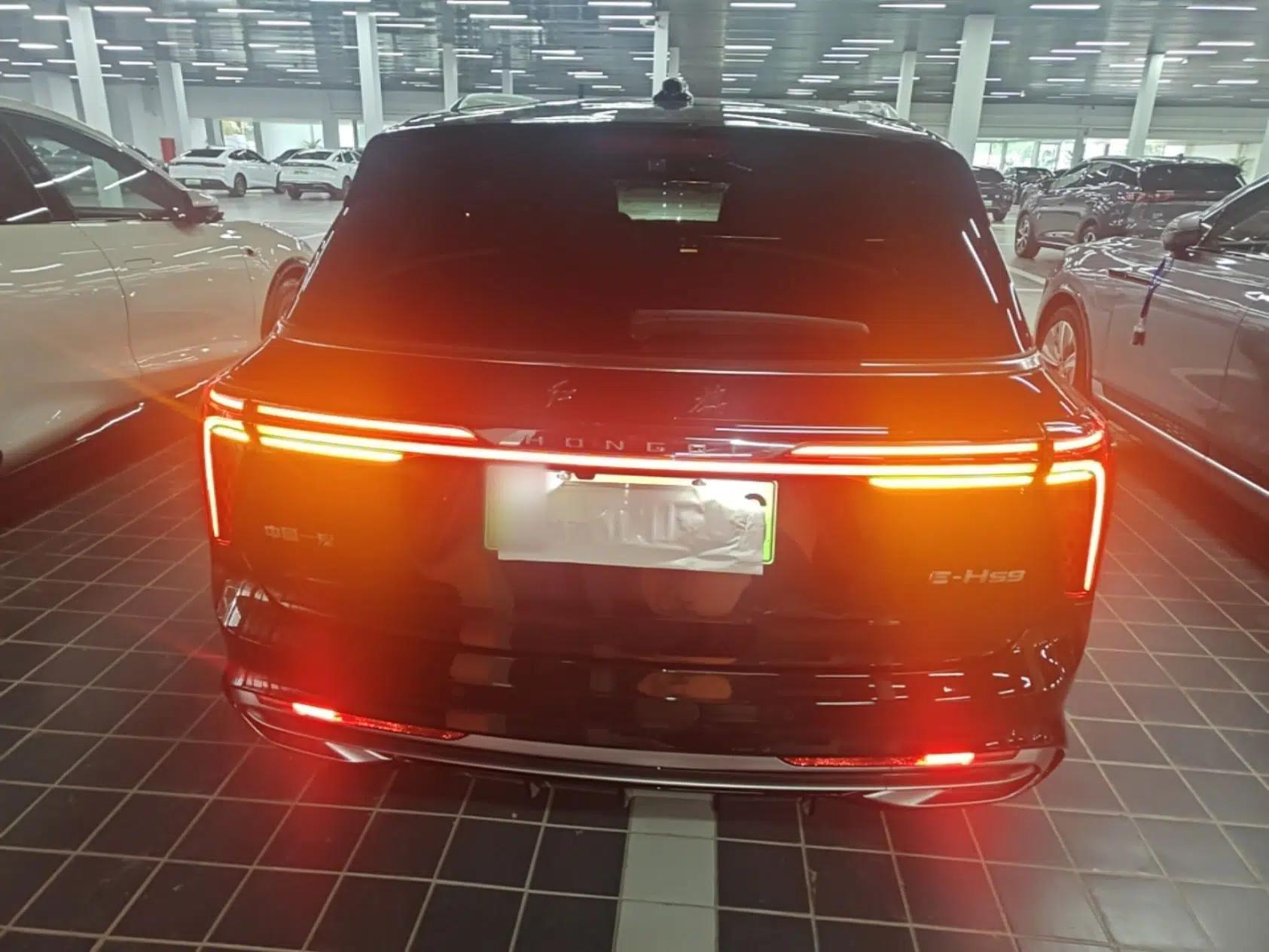Hongqi E-HS9 2022 660 km Range Flagway Edition Six Seats — миниатюра 3
