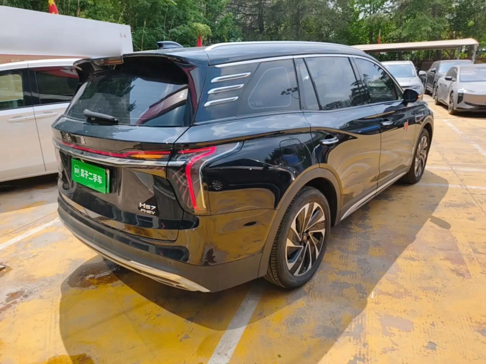 Hongqi HS7 PHEV 2024 2.0T PHEV Four-Wheel Drive Flagship Edition 6 Seats — миниатюра 6