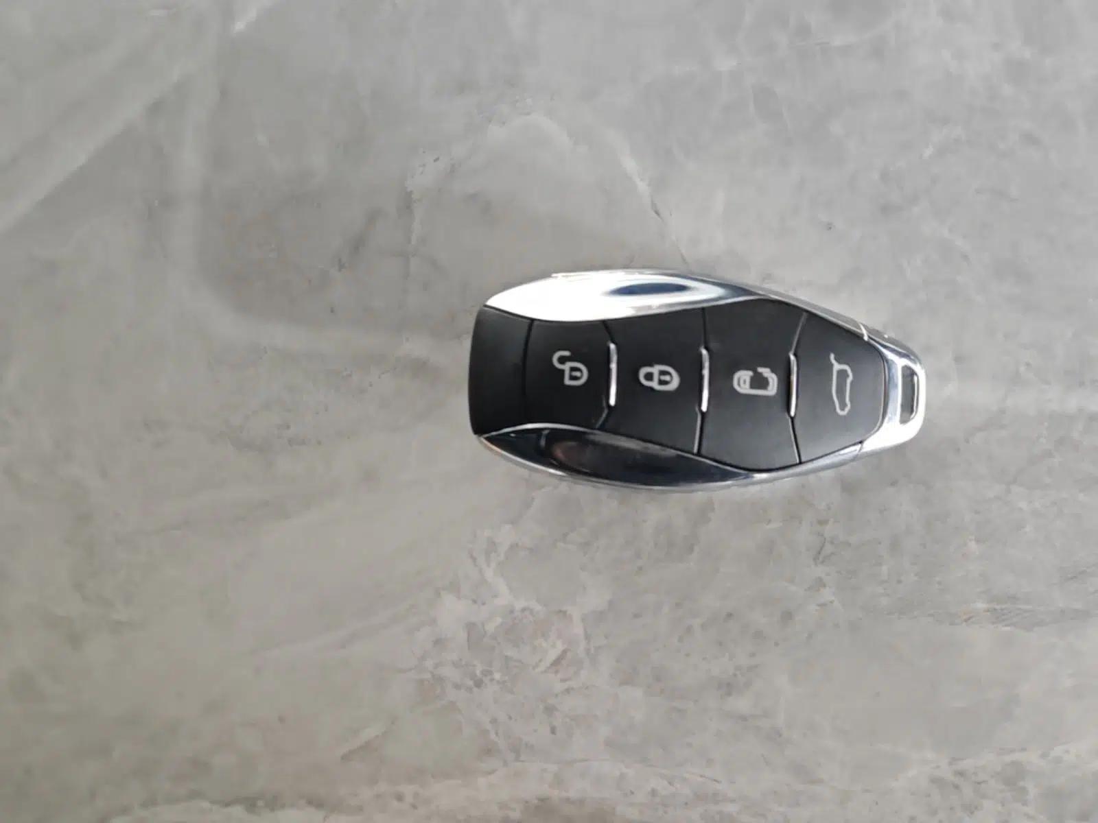 Hongqi HQ9 PHEV 2024 2.0T Four-Wheel Drive Luxury Edition — миниатюра 12