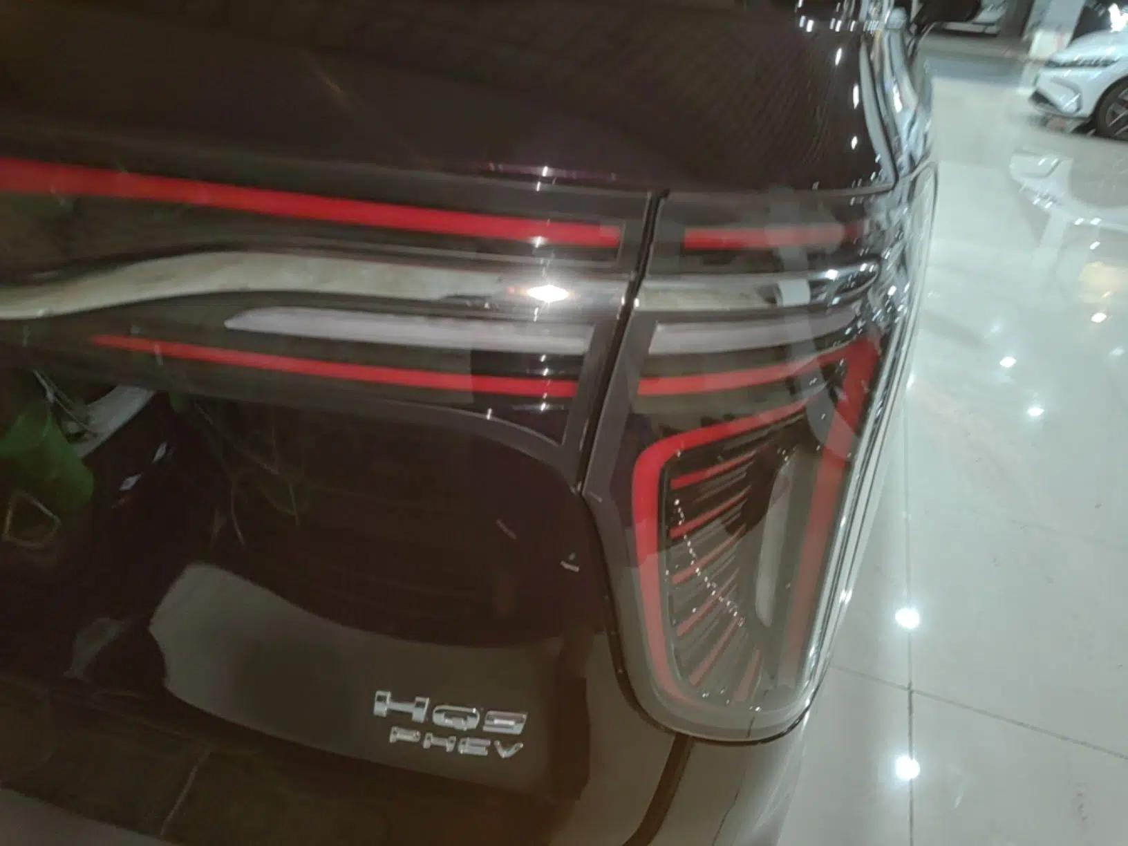 Hongqi HQ9 PHEV 2024 2.0T Four-Wheel Drive Luxury Edition — миниатюра 7