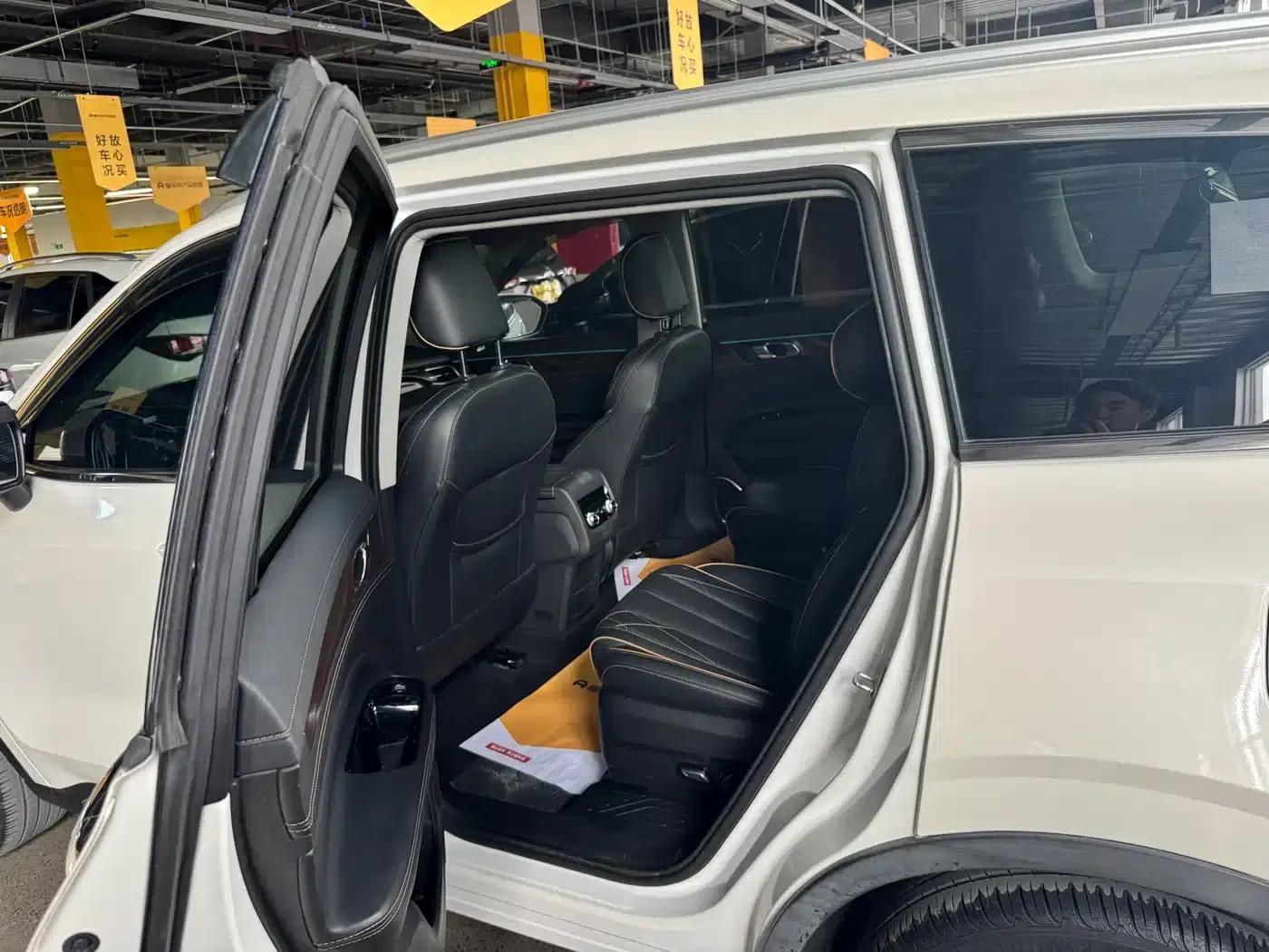 Lingyu 2021 EcoBoost 225 Premium 6-seater — миниатюра 4