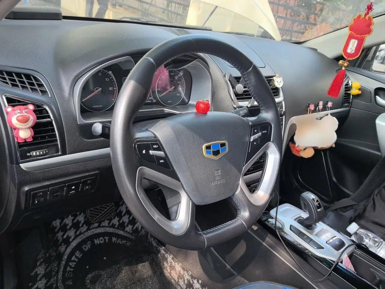 Geely Auto Emgrand New Energy 2017 EV300 Prestige Model — миниатюра 11