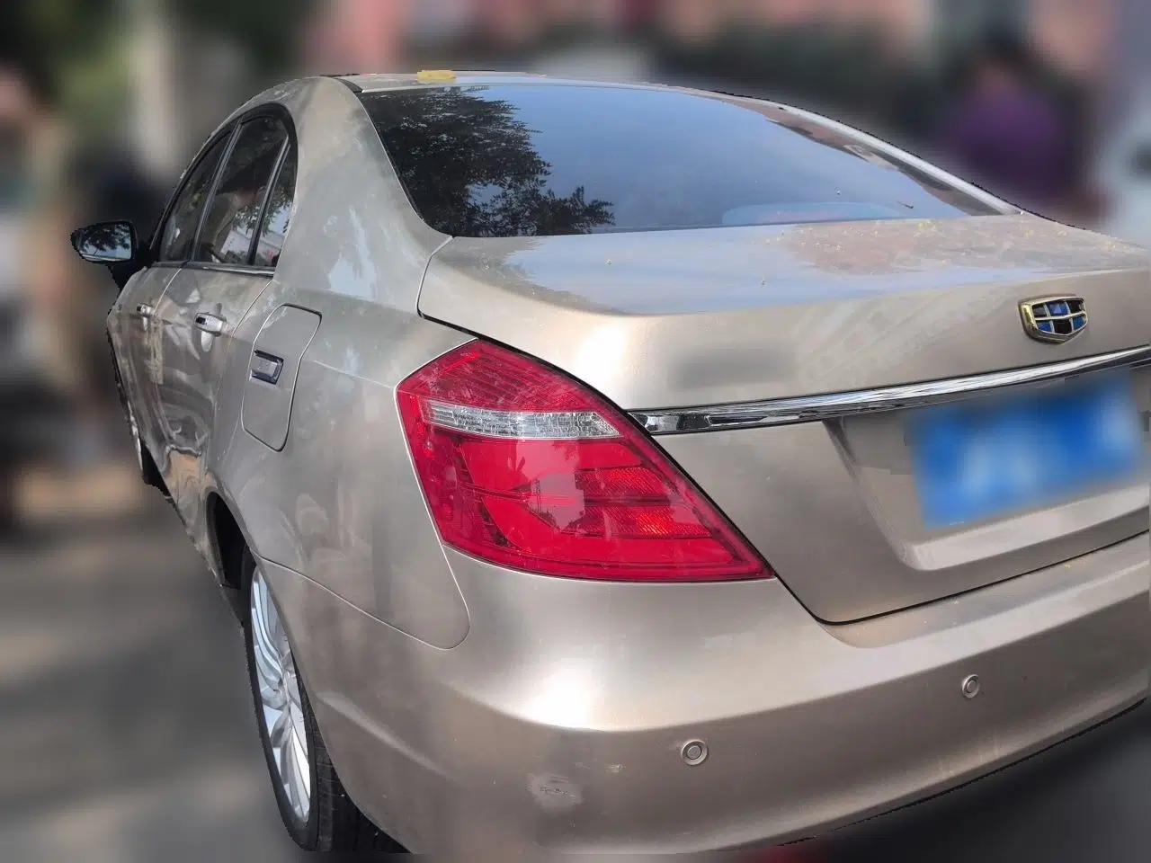 Geely Auto Emgrand New Energy 2017 EV300 Prestige Model — миниатюра 4