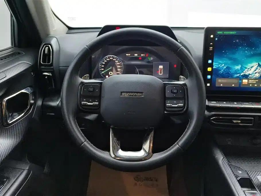 Haval Big Dog PLUS 2023 2.0T 4WD Trendy Wild Plus — миниатюра 15