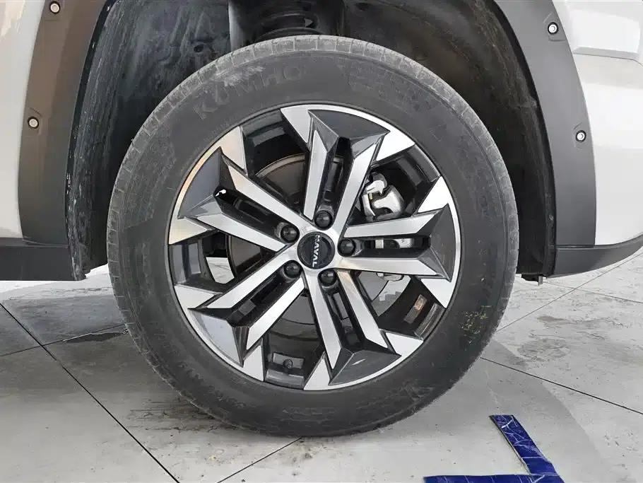 Haval Big Dog PLUS 2023 2.0T 4WD Trendy Wild Plus — миниатюра 6