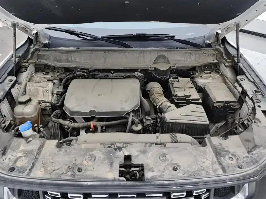 Haval Big Dog PLUS 2023 2.0T 4WD Trendy Wild Plus — миниатюра 10