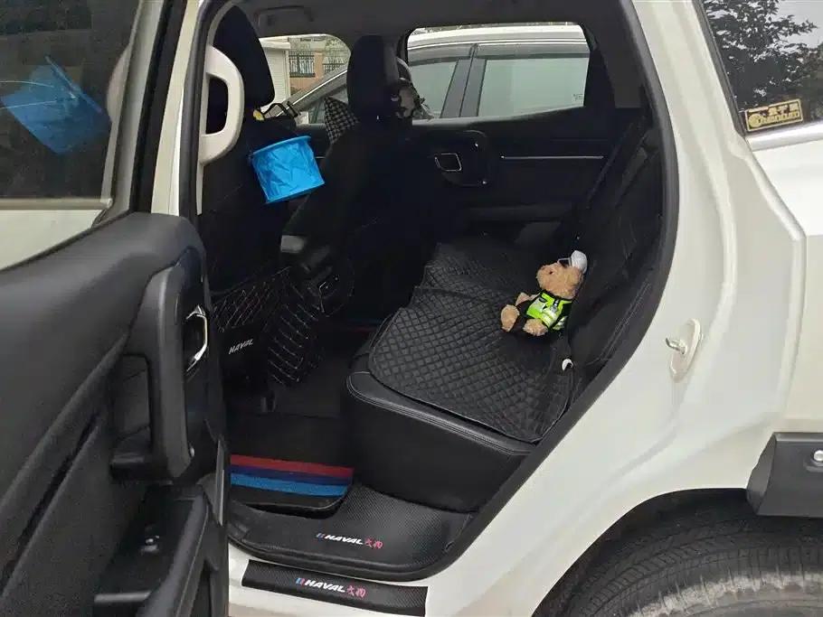 Haval Big Dog PLUS New Energy 2023 DHT-PHEV 105km Trendy Electric Edition Plus — миниатюра 11