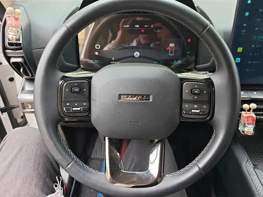 Haval Big Dog PLUS New Energy 2023 DHT-PHEV 105km Trendy Electric Edition Plus — миниатюра 15