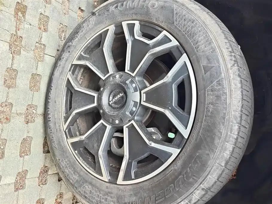 Haval Big Dog PLUS New Energy 2023 DHT-PHEV 105km Trendy Electric Edition Plus — миниатюра 6