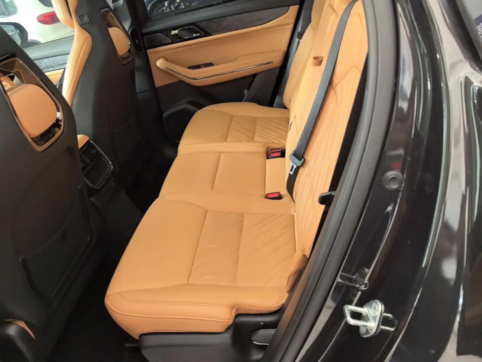 Lynk & Co 09 EM-P 2021 2.0T PHEV Halo Seven-Seater — миниатюра 19