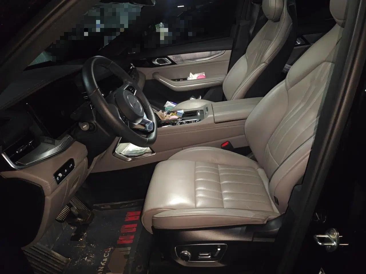 Lynk & Co 09 EM-P 2023 2.0TD EM-P Long-Range Version PM 7-Seater — миниатюра 16