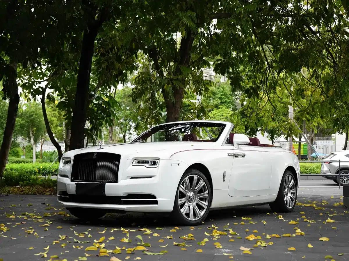 2018 Dawn 6.6T Standard Edition — миниатюра 1