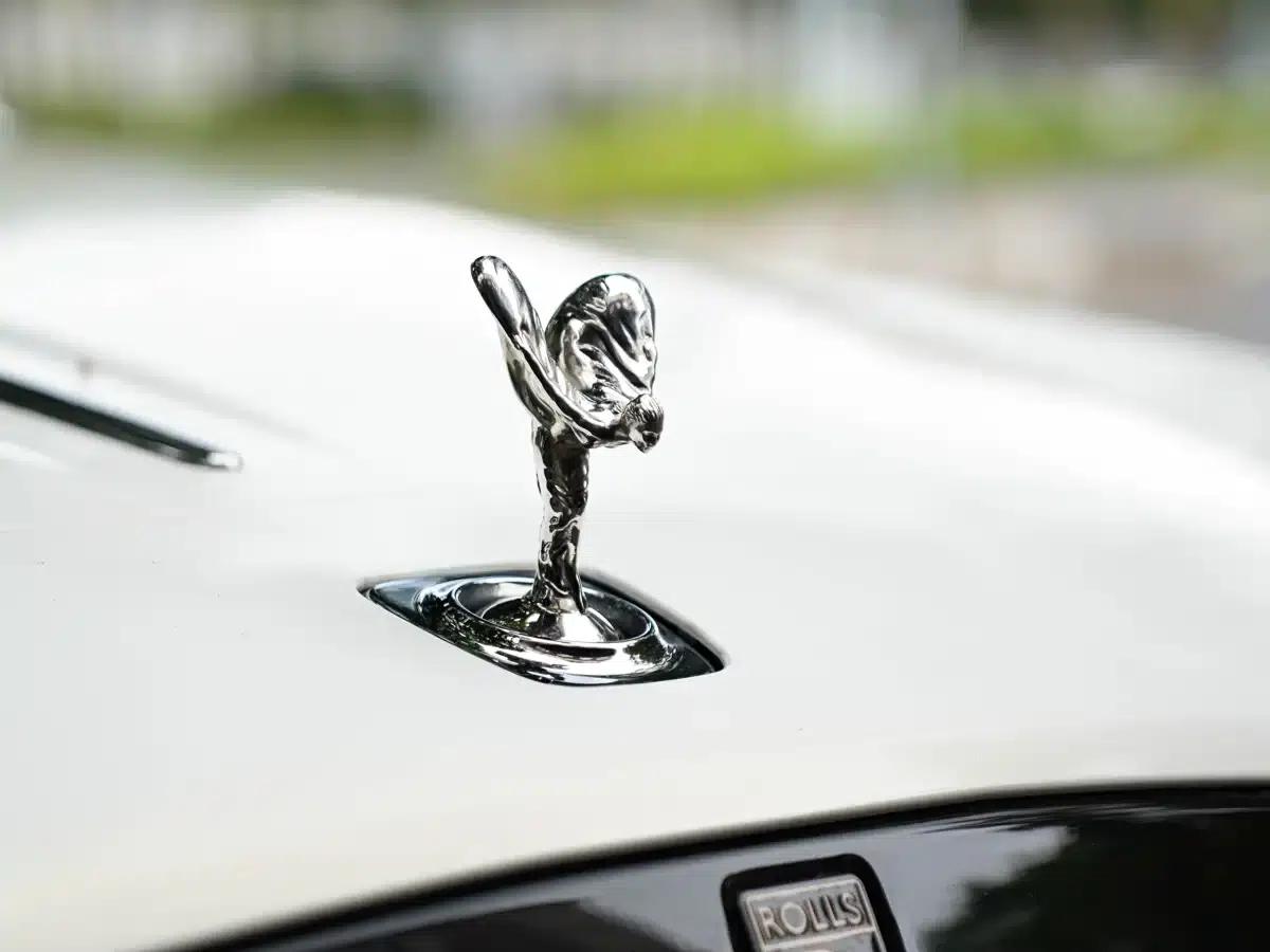 2018 Dawn 6.6T Standard Edition — миниатюра 2