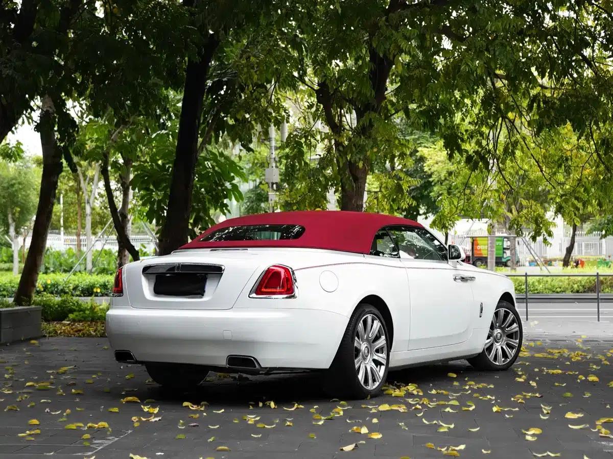 2018 Dawn 6.6T Standard Edition — миниатюра 16