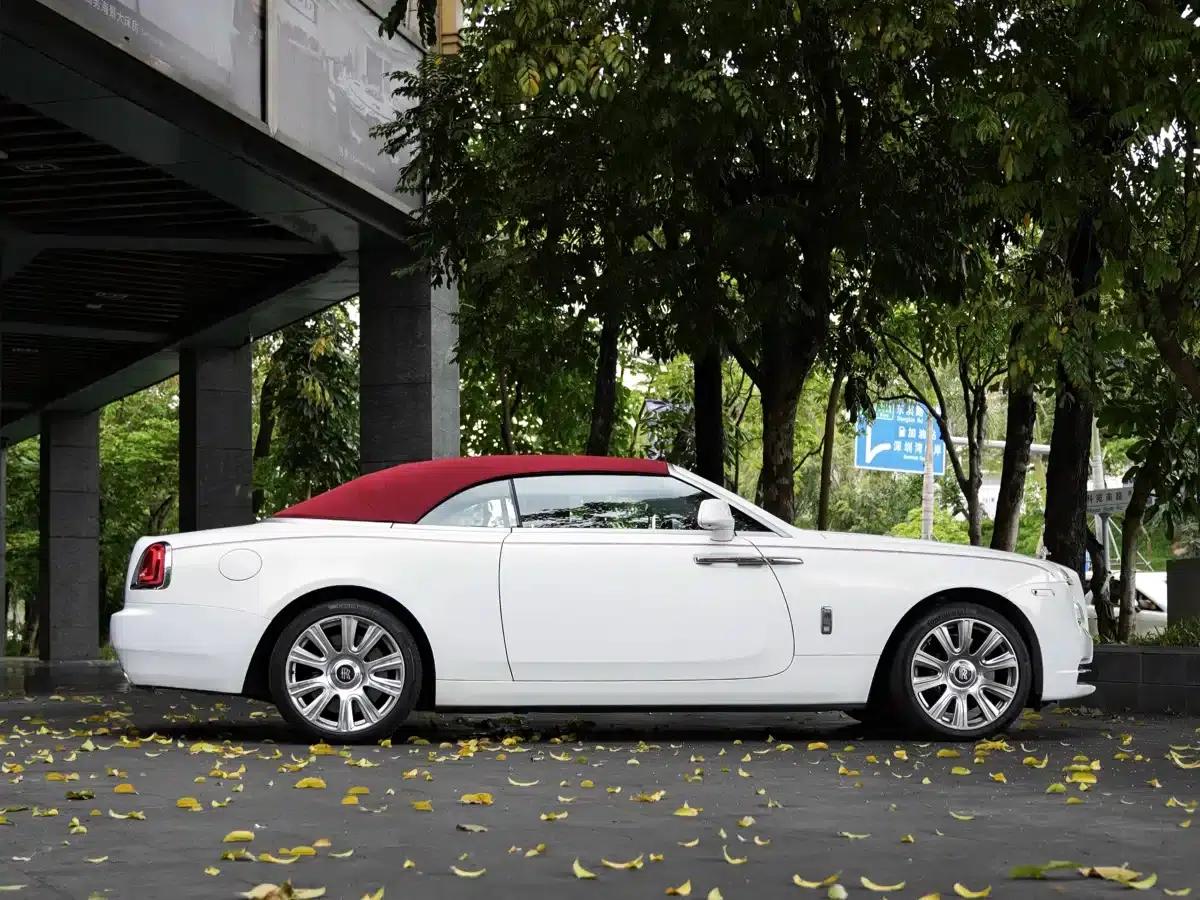 2018 Dawn 6.6T Standard Edition — миниатюра 19