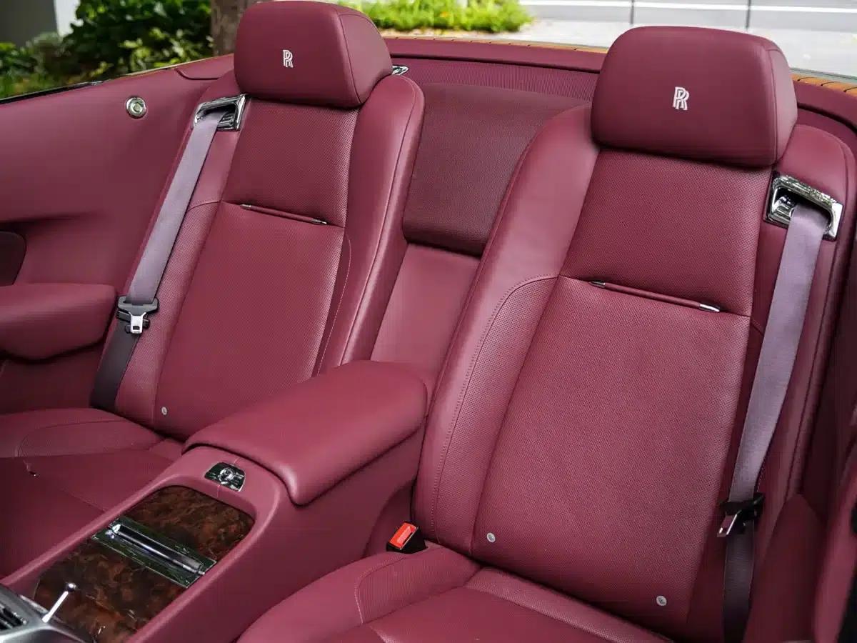2018 Dawn 6.6T Standard Edition — миниатюра 3