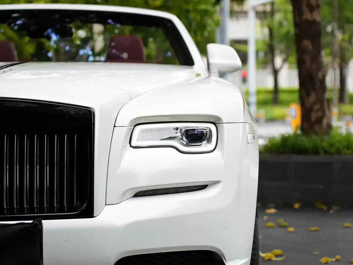 2018 Dawn 6.6T Standard Edition — миниатюра 5