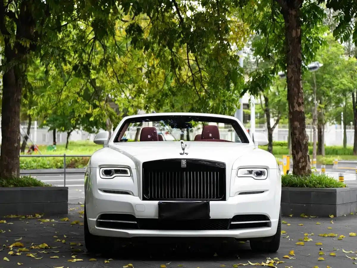 2018 Dawn 6.6T Standard Edition — миниатюра 6