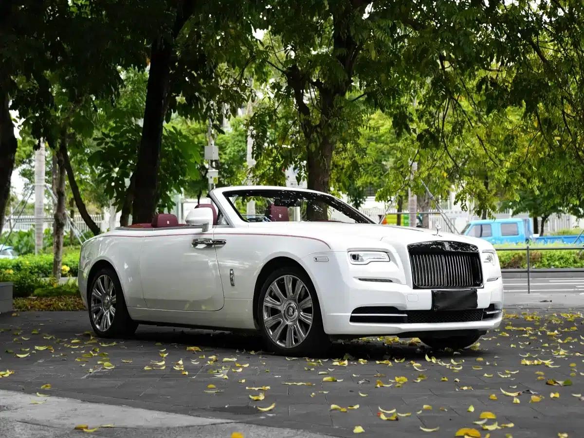 2018 Dawn 6.6T Standard Edition — миниатюра 7