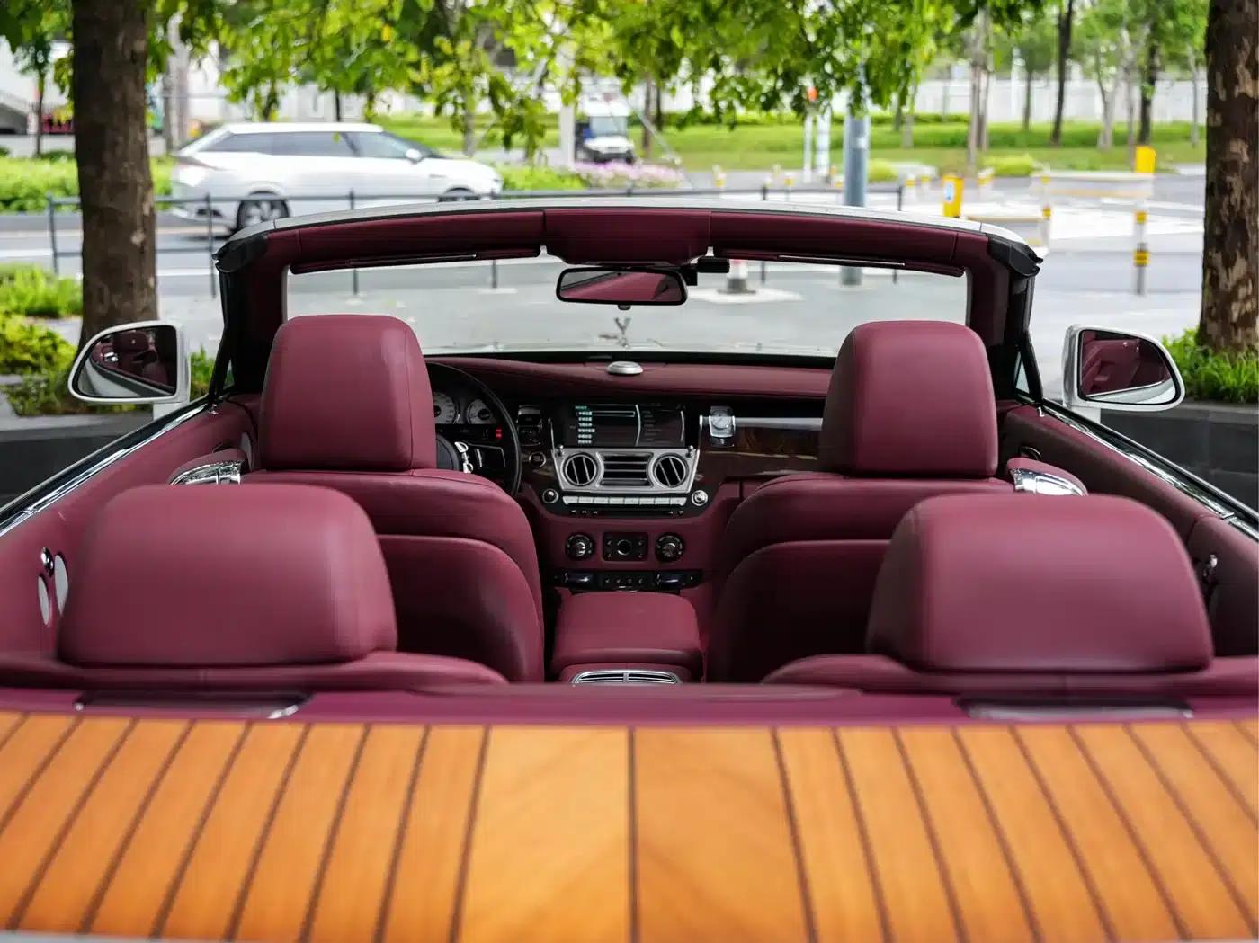 2018 Dawn 6.6T Standard Edition — миниатюра 8