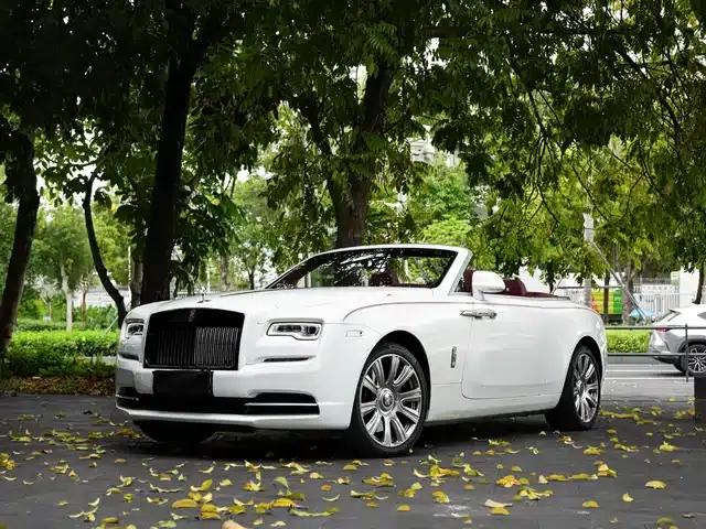 2018 Dawn 6.6T Standard Edition