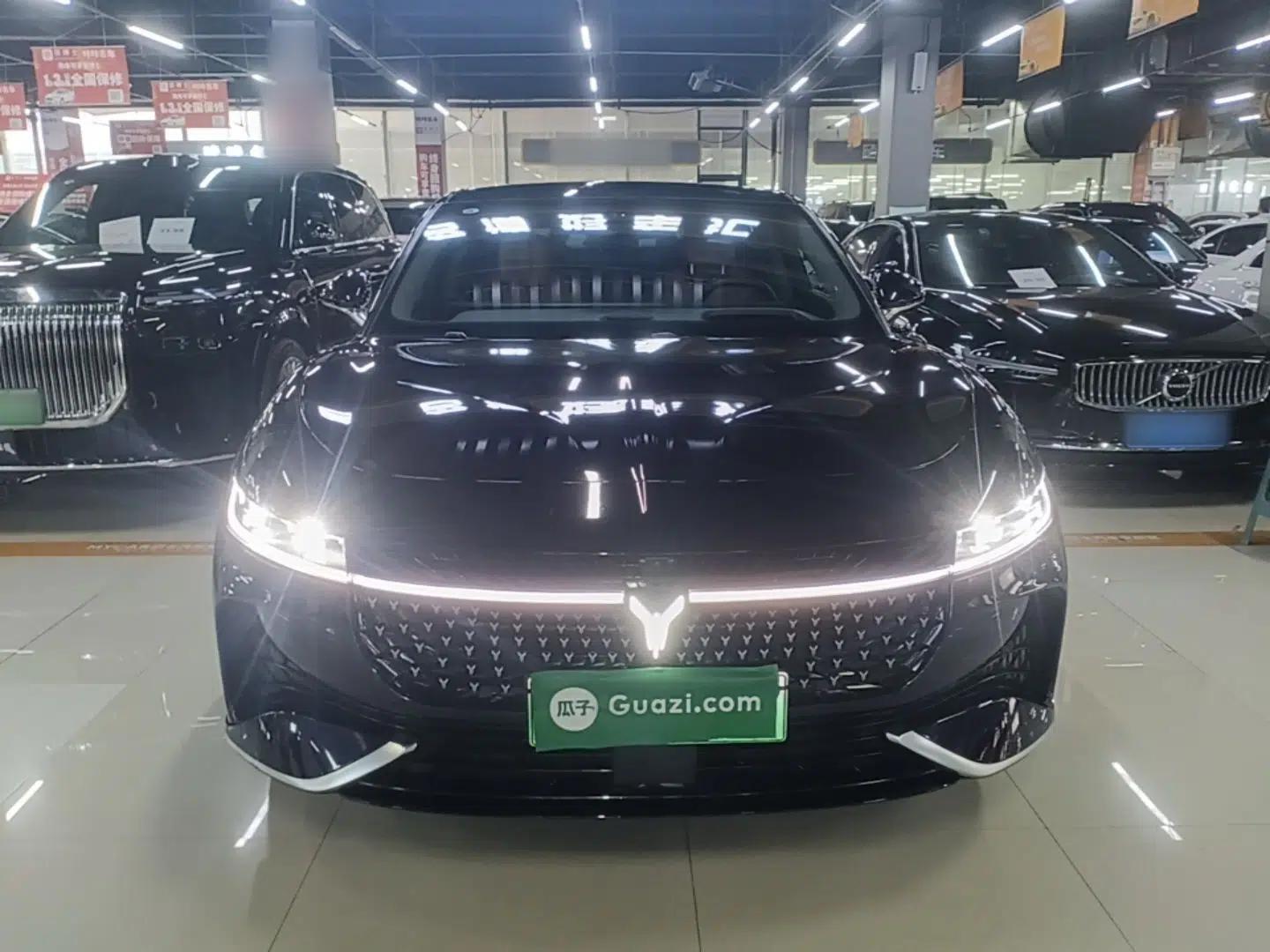 VOYAH PASSION 2024 PHEV Four-Wheel Drive Ultra-Long Range Flagship Model — миниатюра 2
