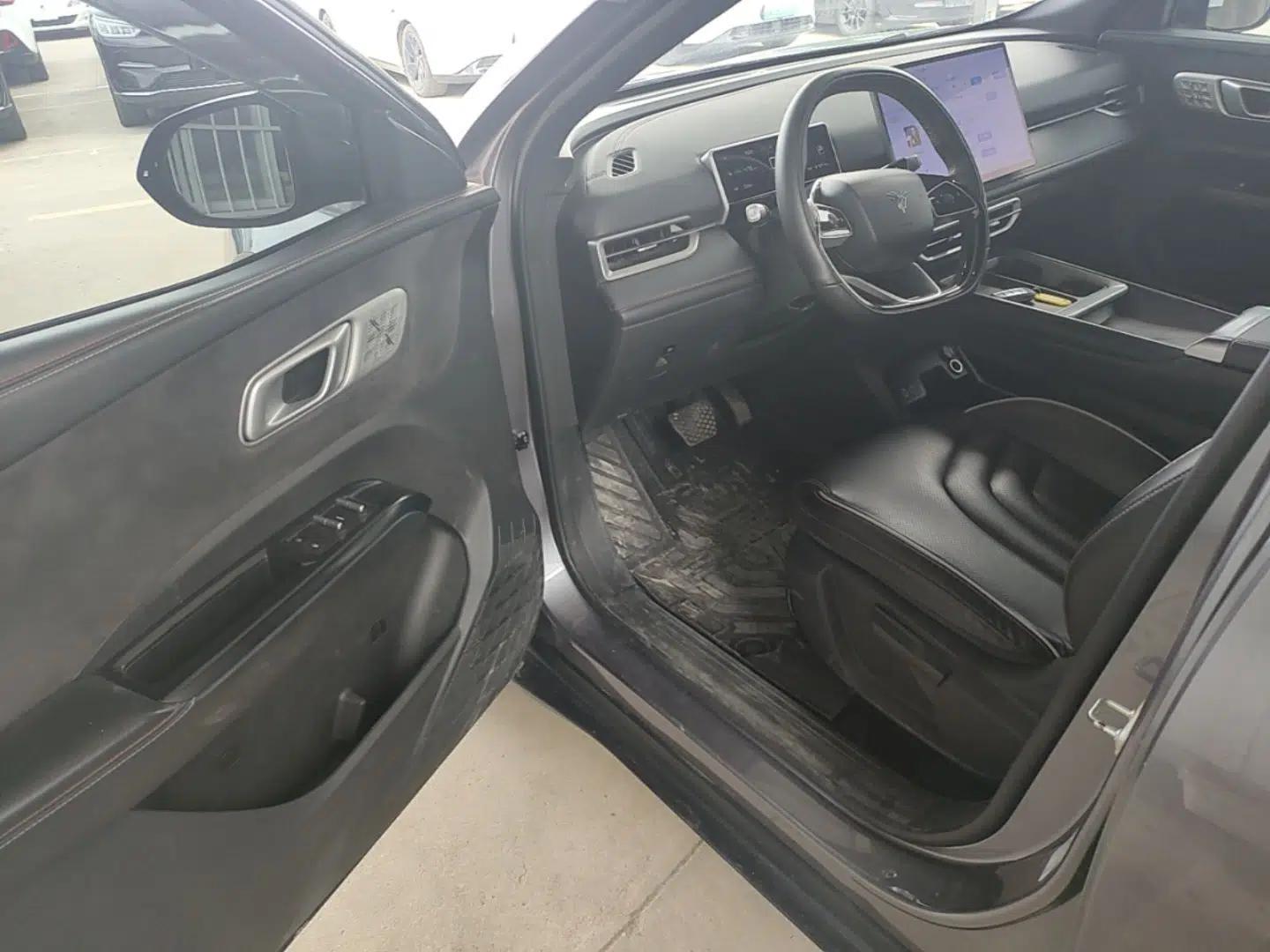 NETA X 2024 500 Prestige Edition — миниатюра 19