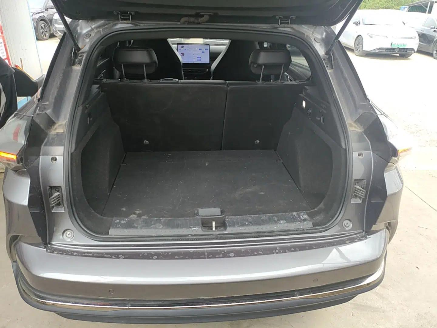 NETA X 2024 500 Prestige Edition — миниатюра 22