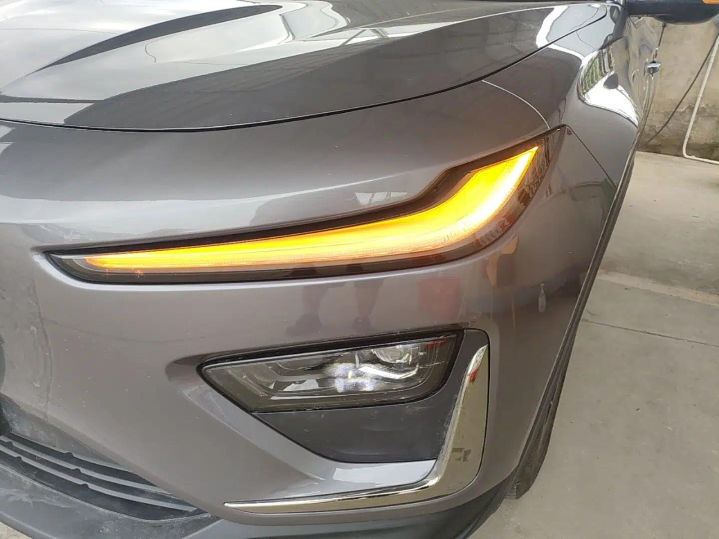 NETA X 2024 500 Prestige Edition — миниатюра 9