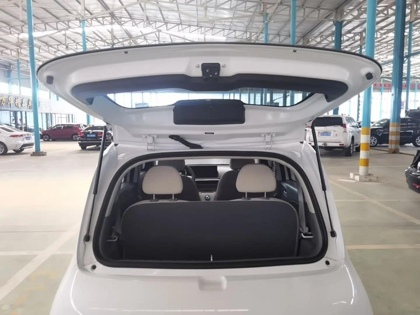 ORA White Cat 2020 360 km Luxury Version — миниатюра 21