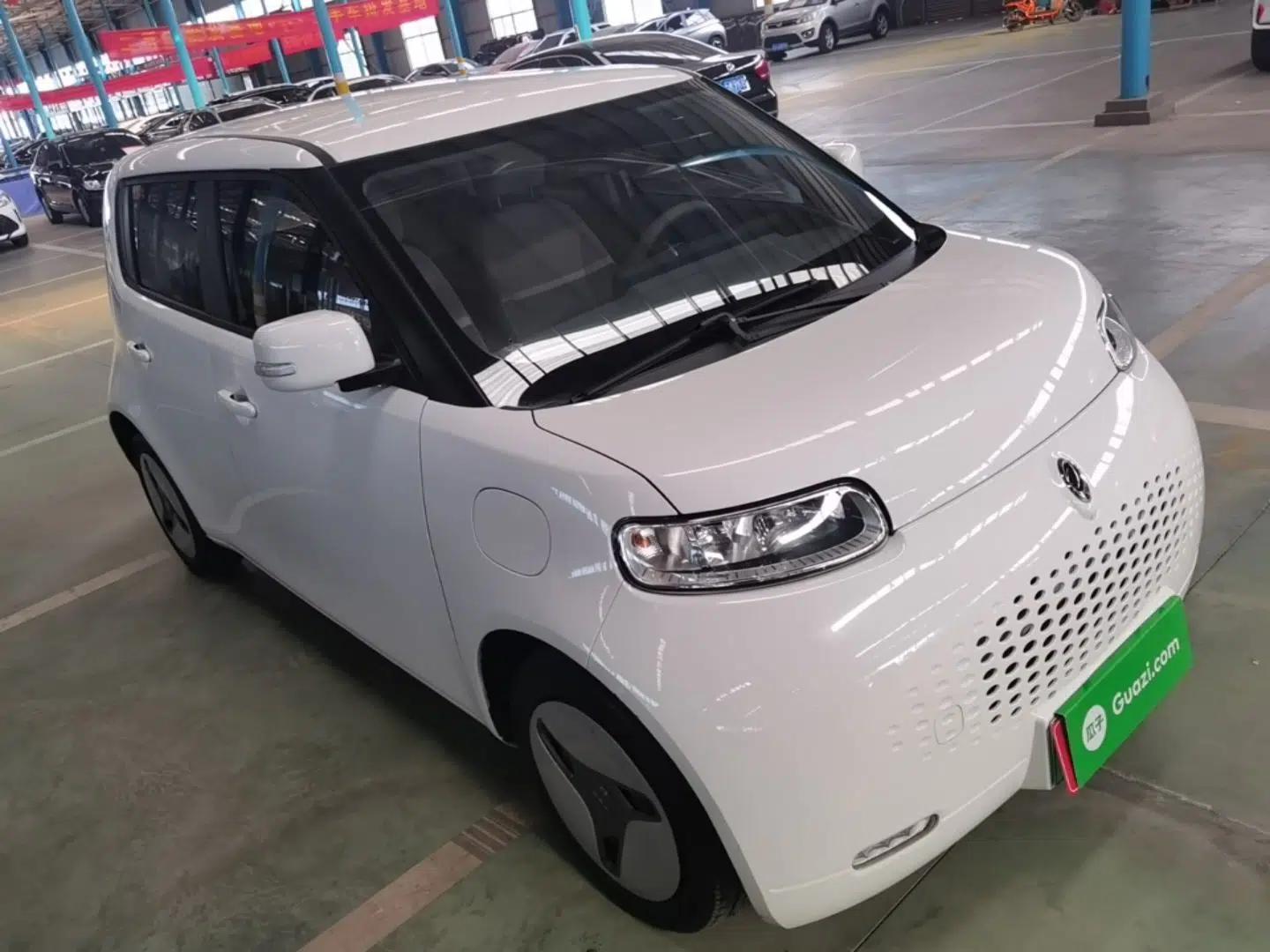 ORA White Cat 2020 360 km Luxury Version — миниатюра 6