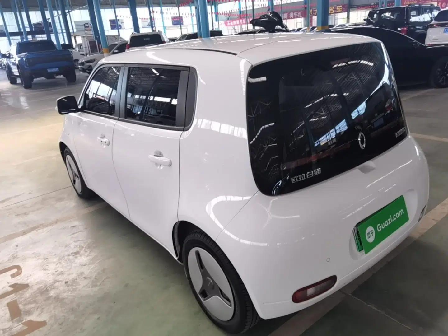 ORA White Cat 2020 360 km Luxury Version — миниатюра 7