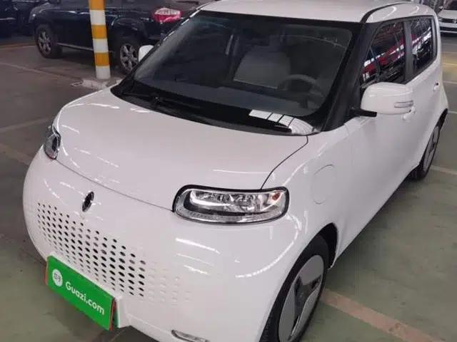 ORA White Cat 2020 360 km Luxury Version